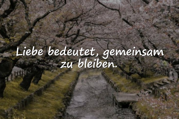 Bilder mit liebe sprüche - 23