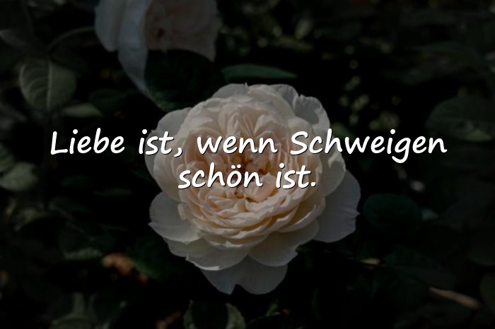 Bilder mit liebe sprüche - 19