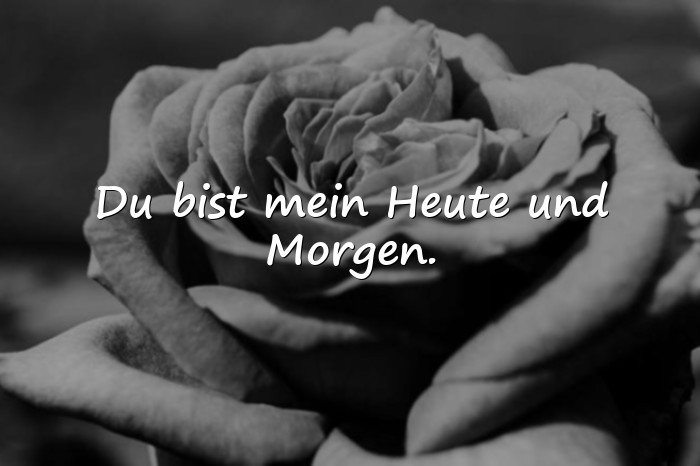 Bilder mit liebe sprüche - 14