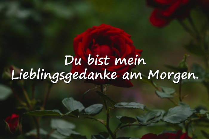 Bilder mit liebe sprüche - 11