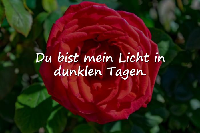 Bilder mit liebe sprüche - 9