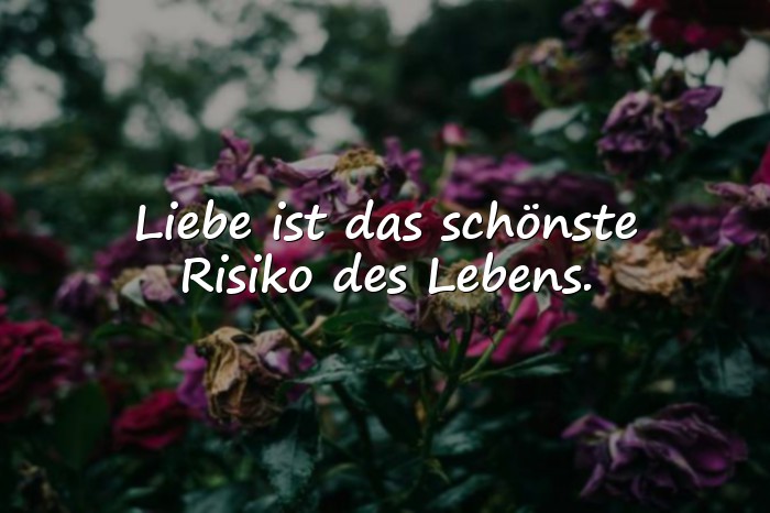 Bilder mit liebe zitate - 24
