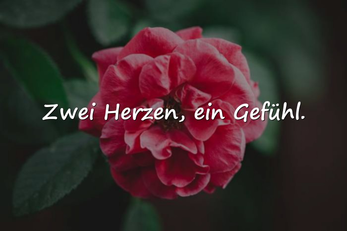 Bilder mit liebe zitate - 21