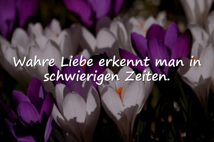 Bilder mit liebe zitate - 16
