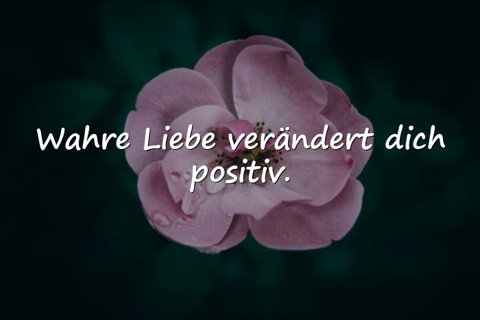 Bilder mit liebe zitate - 7