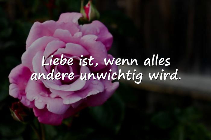 Bilder mit liebe zitate - 2