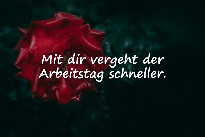 Bilder mit lieblingskollegin sprüche - 20