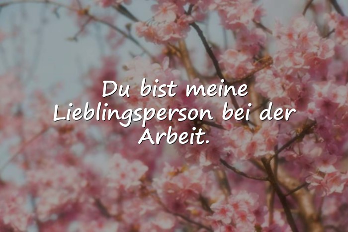 Bilder mit lieblingskollegin sprüche - 10