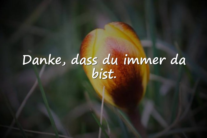 Bilder mit lieblingskollegin sprüche - 20