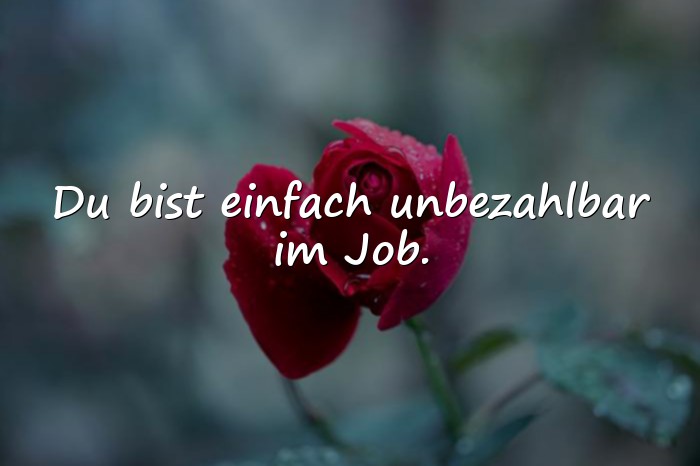 Bilder mit lieblingskollegin sprüche - 15