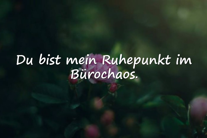 Bilder mit lieblingskollegin sprüche - 6