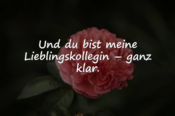 Bilder mit lieblingskollegin sprüche - 1