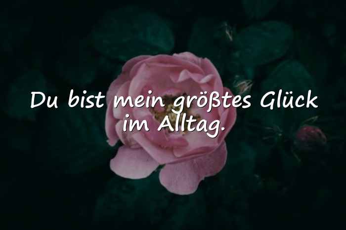 Bilder mit lieblingsmensch sprüche - 22