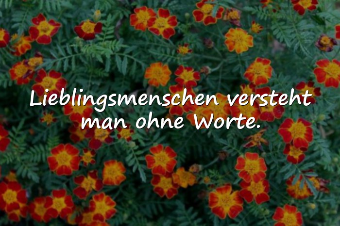 Bilder mit lieblingsmensch sprüche - 20