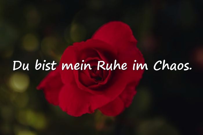 Bilder mit lieblingsmensch sprüche - 17