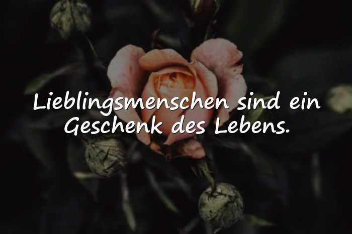 Bilder mit lieblingsmensch sprüche - 11