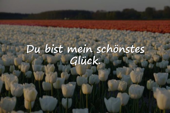 Bilder mit lieblingsmensch sprüche - 8