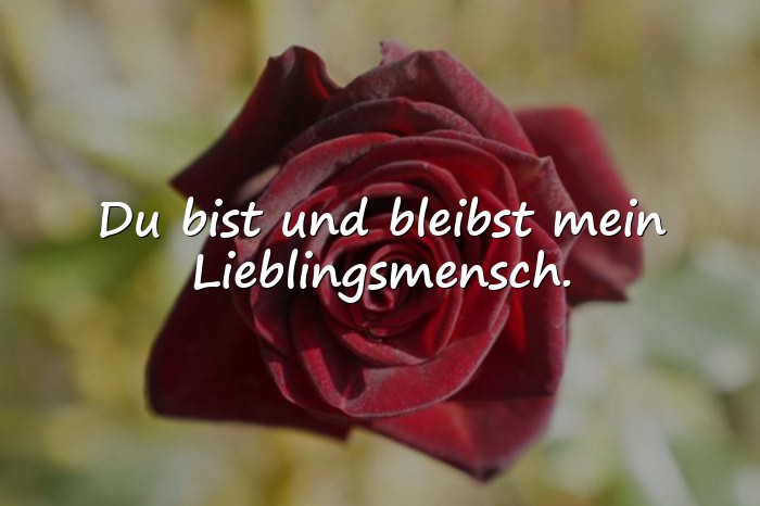 Bilder mit lieblingsmensch sprüche - 1