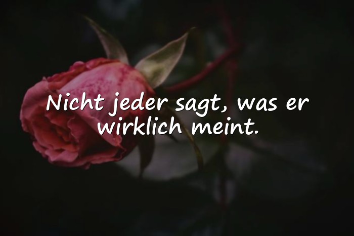 Bilder mit lügen sprüche - 14