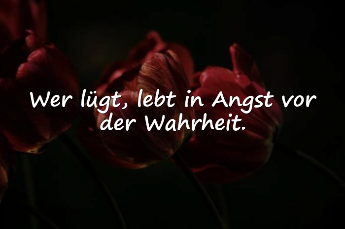 Bilder mit lügen sprüche - 9