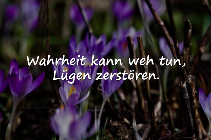 Bilder mit lügen sprüche - 24