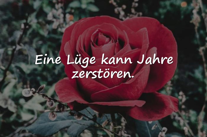 Bilder mit lügen sprüche - 15