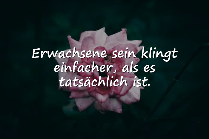 Bilder mit lustige sprüche - 6