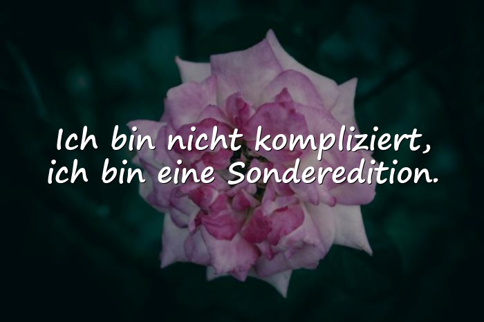 Bilder mit lustige sprüche - 1
