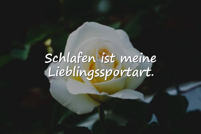 Bilder mit lustige sprüche - 21