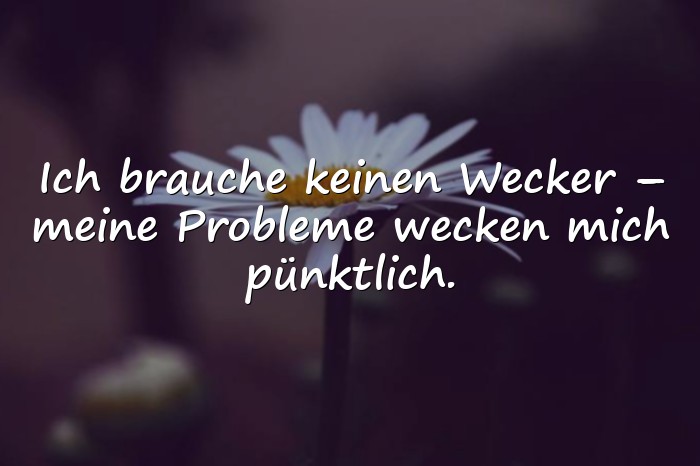 Bilder mit lustige sprüche - 11