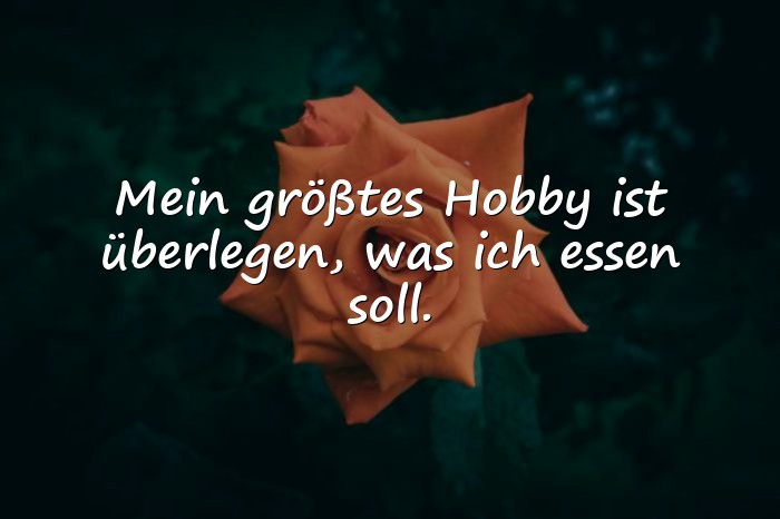 Bilder mit lustige sprüche - 6