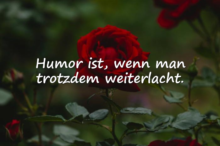 Bilder mit lustige sprüche - 1