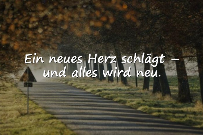 Bilder mit moderne sprüche zur geburt - 6