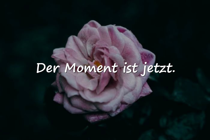 Bilder mit momente sprüche - 11
