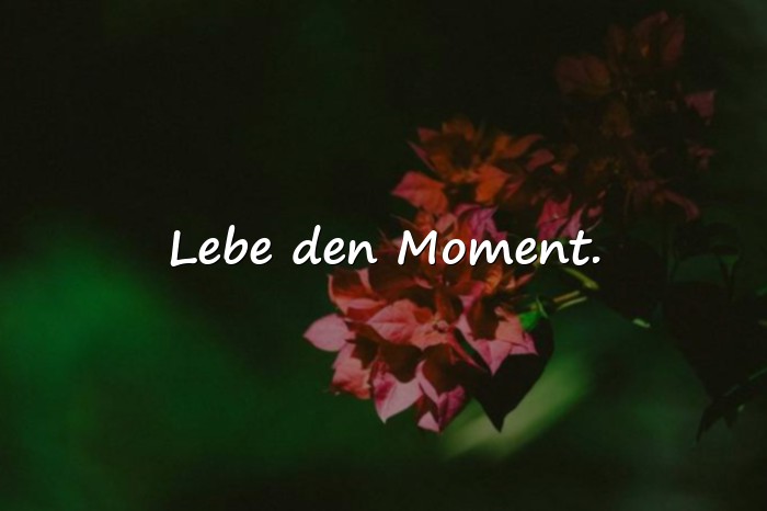 Bilder mit momente sprüche - 7