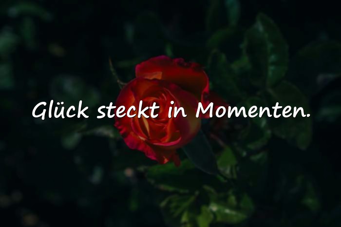 Bilder mit momente sprüche - 2