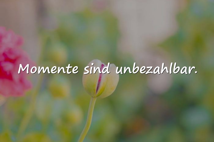Bilder mit momente sprüche - 23