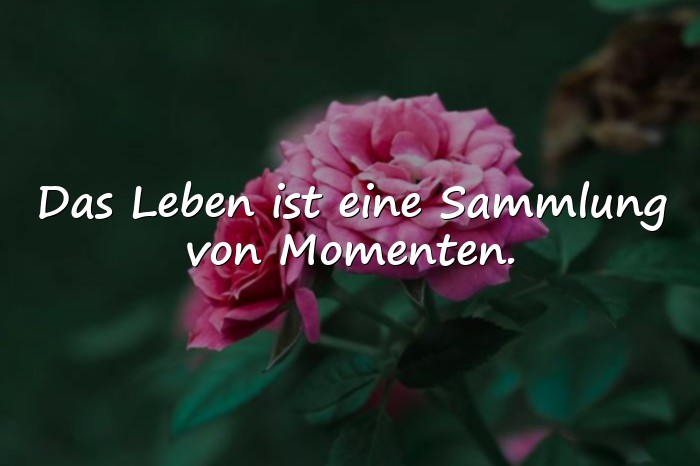 Bilder mit momente sprüche - 19