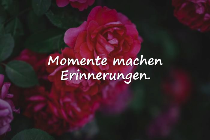 Bilder mit momente sprüche - 14