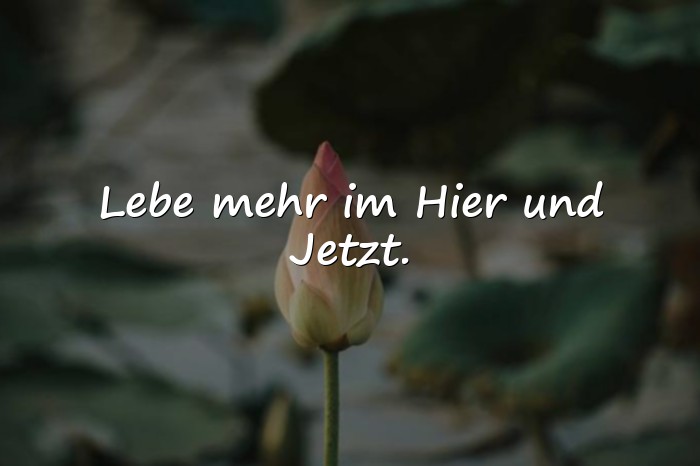 Bilder mit momente sprüche - 9