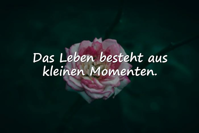 Bilder mit momente sprüche - 6