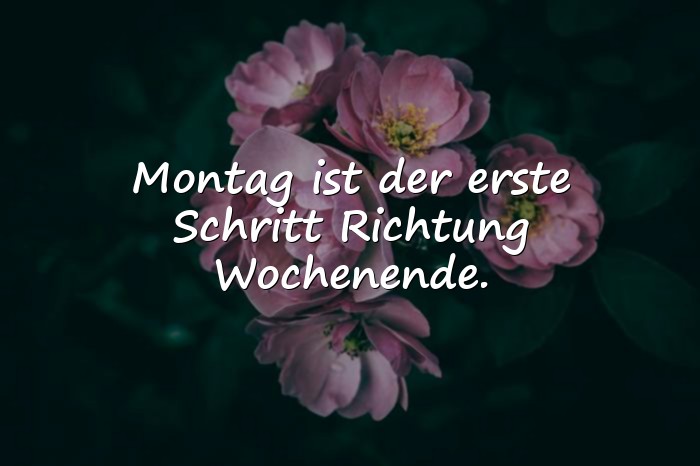 Bilder mit montag sprüche - 11