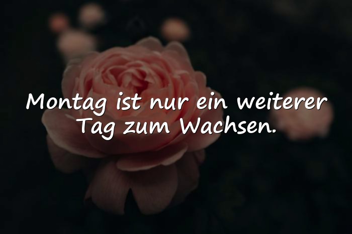 Bilder mit montag sprüche - 6