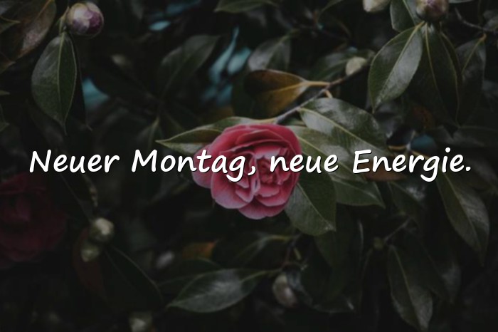 Bilder mit montag sprüche - 1