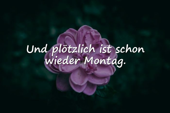 Bilder mit montag sprüche - 1
