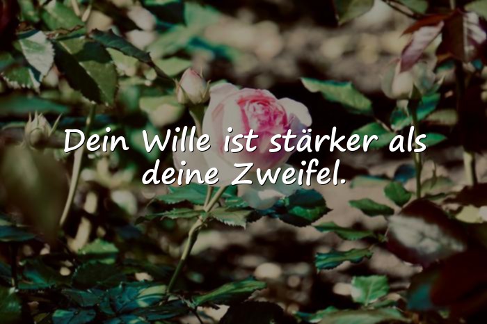 Bilder mit motivation sprüche - 24