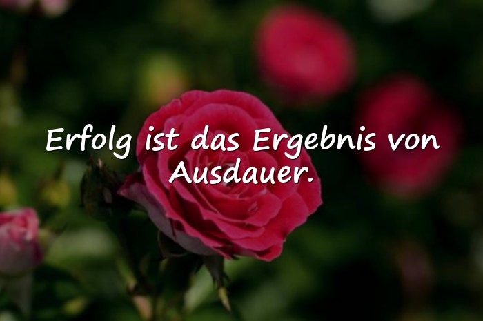 Bilder mit motivationssprüche - 2
