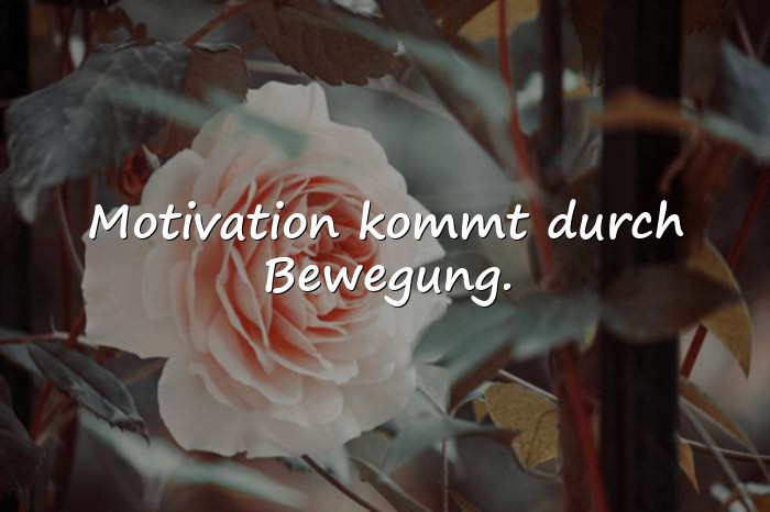 Bilder mit motivierende sprüche - 21