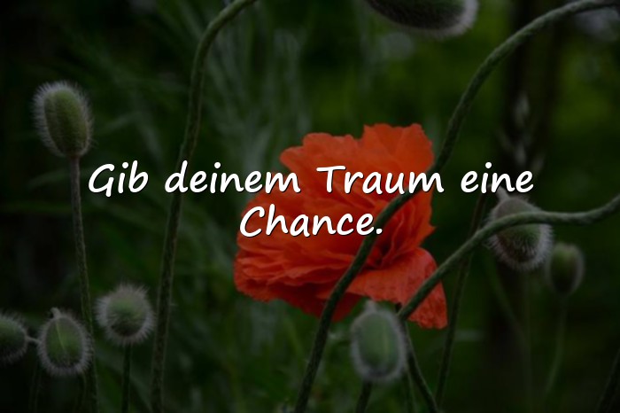 Bilder mit motivierende sprüche - 9
