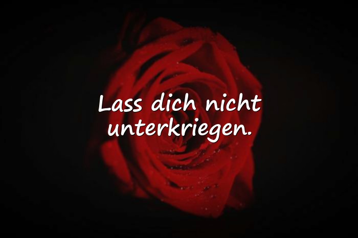 Bilder mit mutmachende sprüche - 18